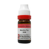 Dr. Reckeweg Mentha Pip Dilution - Safuron Naturals